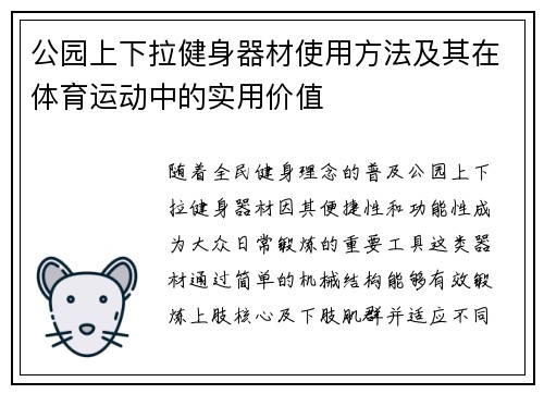 公园上下拉健身器材使用方法及其在体育运动中的实用价值