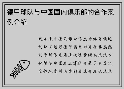 德甲球队与中国国内俱乐部的合作案例介绍