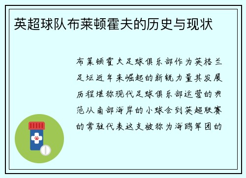 英超球队布莱顿霍夫的历史与现状